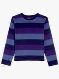 Lil Cool t-shirt with blue and purple broad stripes_1