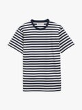 blue and off white short sleeves striped Coulos t-shirt_1